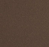 Ковролин Brintons True Velvet True Velvet Otter фото 1 | FLOORDEALER